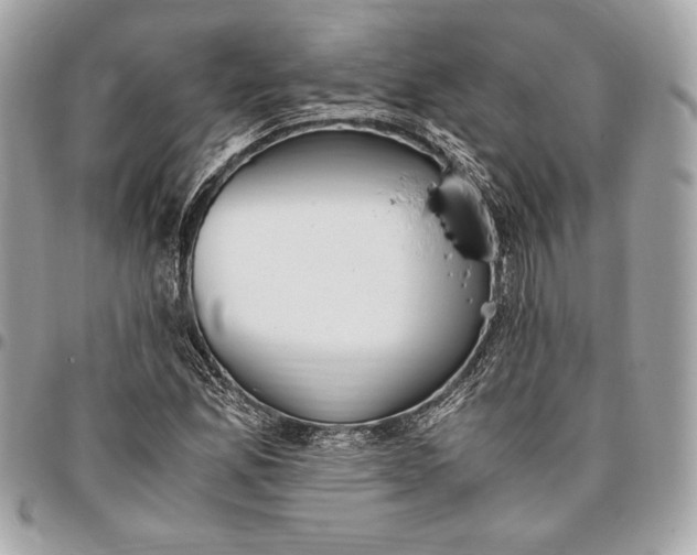 X0000096421165200802071656