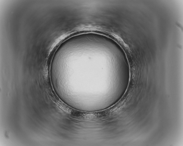 X0000096421167200802071656