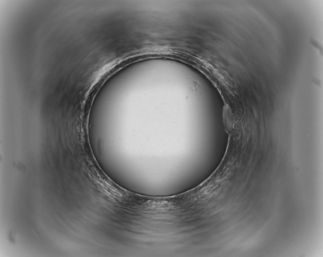 X0000096421168200802071656