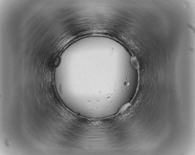 X0000096421169200802071656