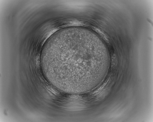 X0000096421170200802071656