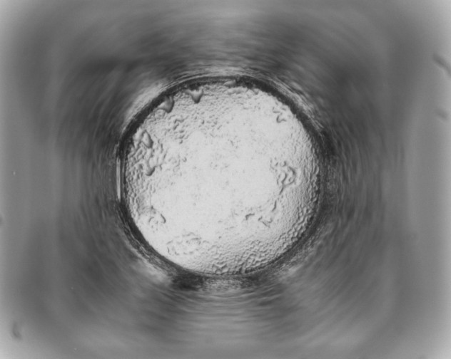 X0000096421171200802071656