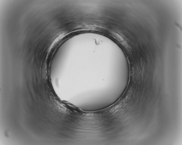 X0000096421172200802071656