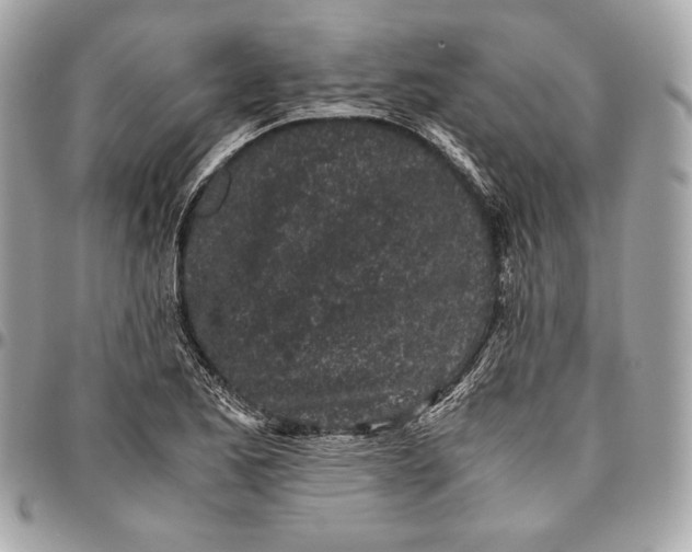 X0000096421173200802071656