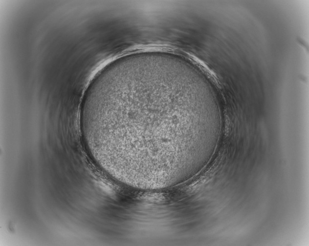 X0000096421174200802071656