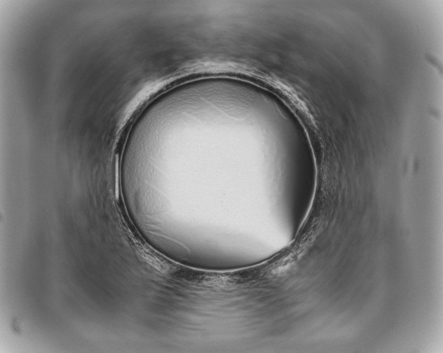 X0000096421175200802071656