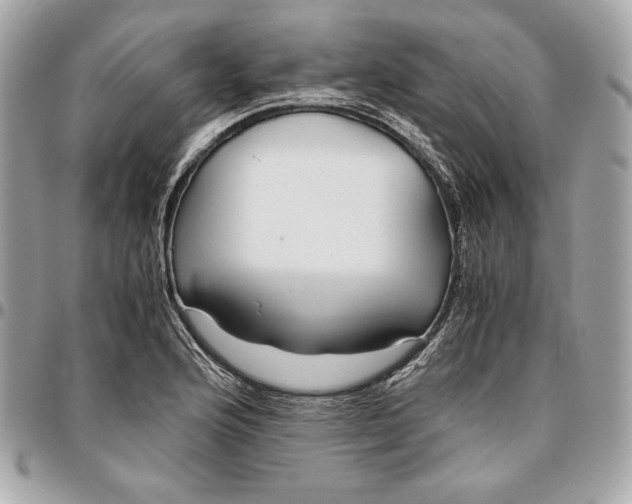 X0000096421176200802071656