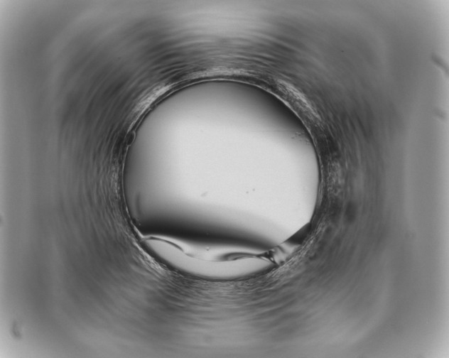 X0000096421177200802071656