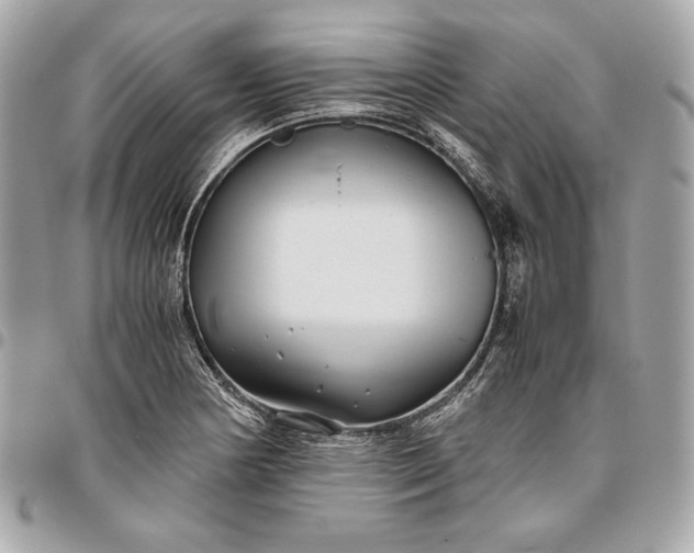 X0000096421178200802071656