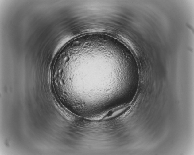 X0000096421179200802071656