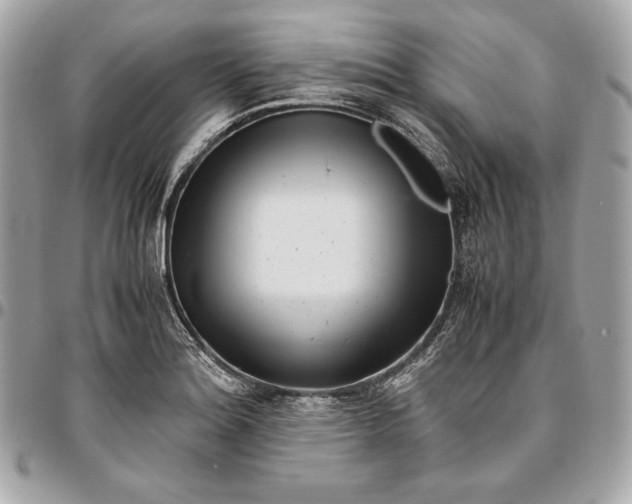 X0000096421180200802071656