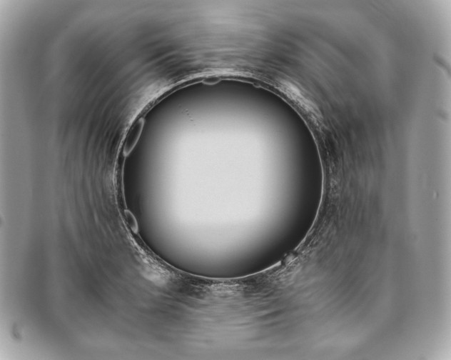 X0000096421181200802071656