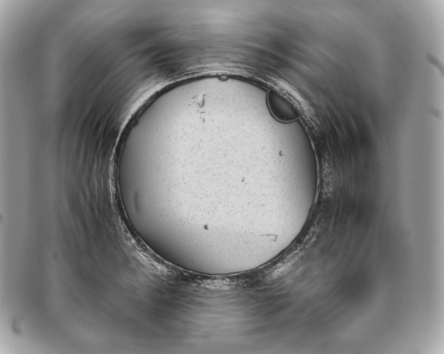 X0000096421182200802071656