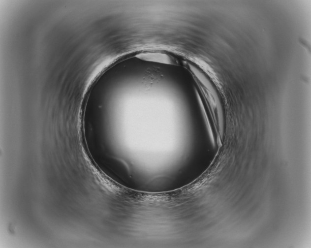 X0000096421183200802071656