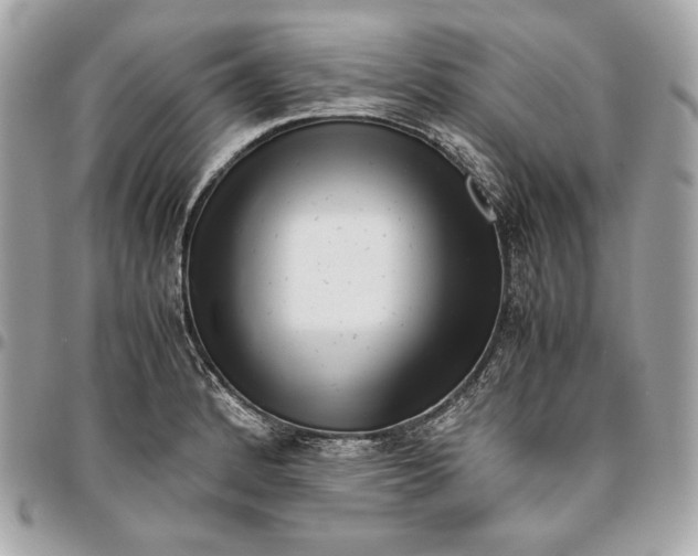 X0000096421184200802071656