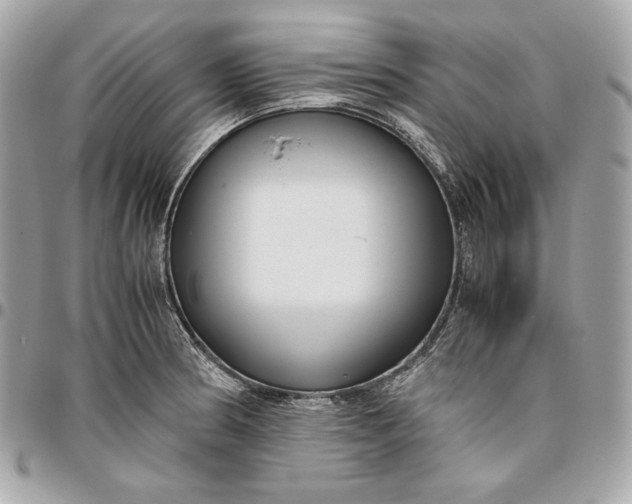 X0000096421186200802071656