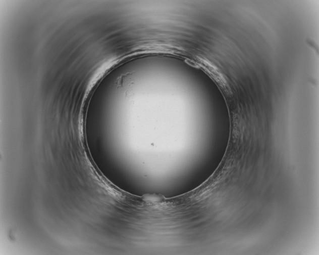 X0000096421188200802071656