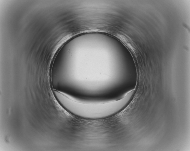 X0000096421189200802071655