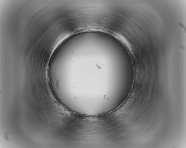 X0000096421190200802071655