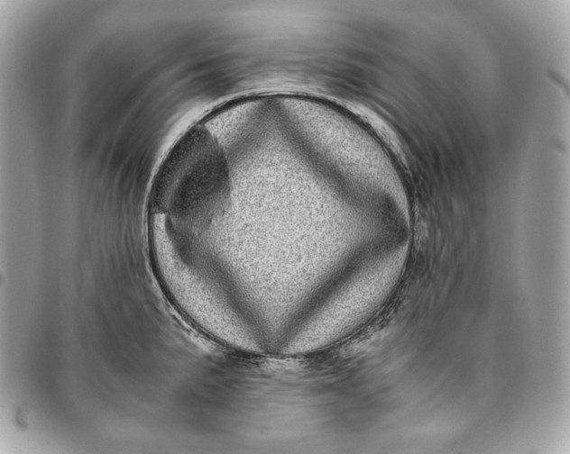 X0000096421191200802071655