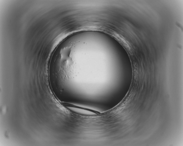 X0000096421192200802071655