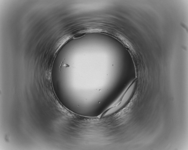 X0000096421193200802071655