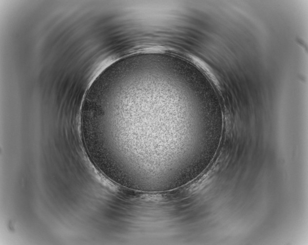 X0000096421194200802071655