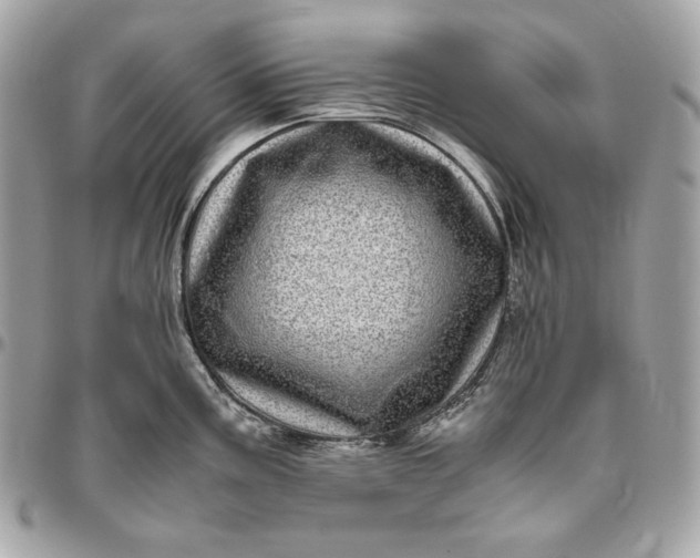 X0000096421195200802071655