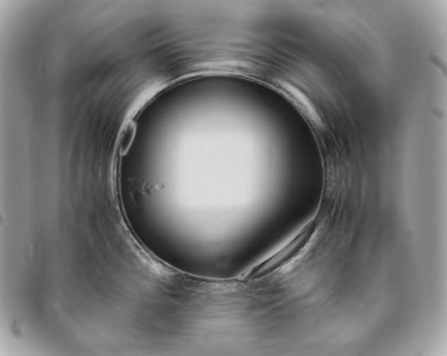 X0000096421196200802071655