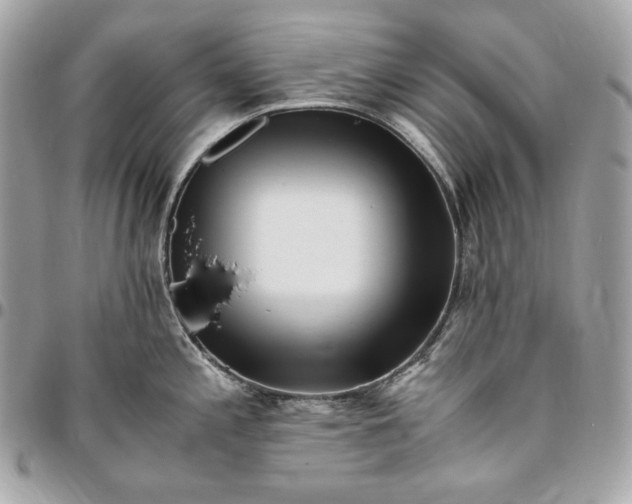 X0000096421197200802071655