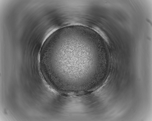 X0000096421198200802071655