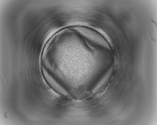 X0000096421199200802071655