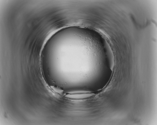 X0000096421200200802071655