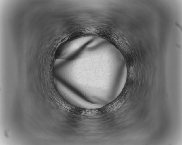 X0000096421201200802071655