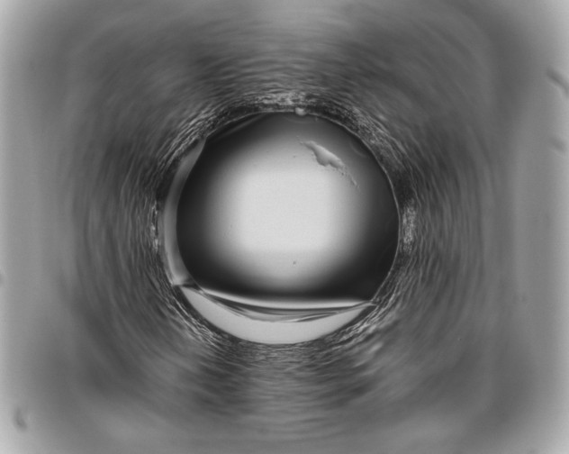 X0000096421202200802071655