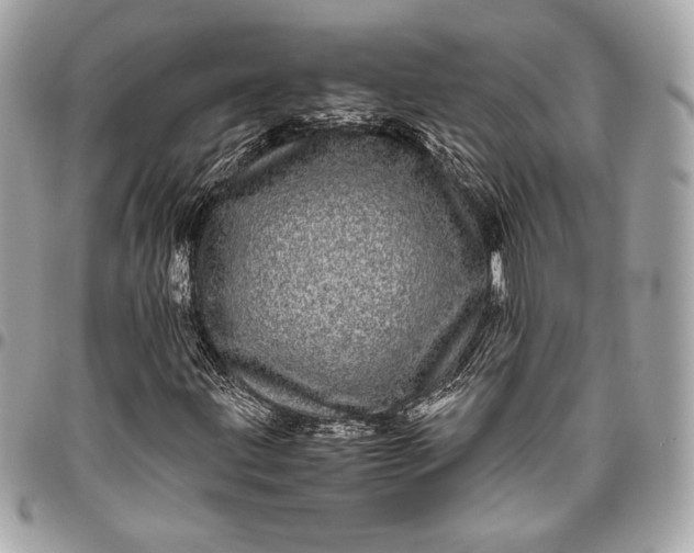 X0000096421203200802071655