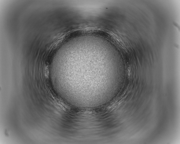 X0000096421204200802071655