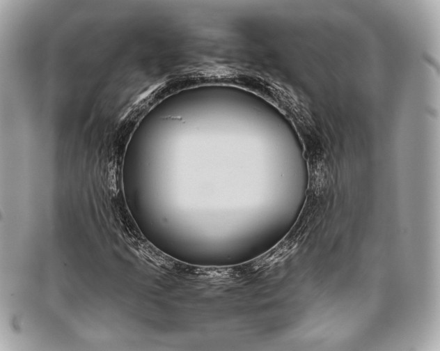 X0000096421205200802071655