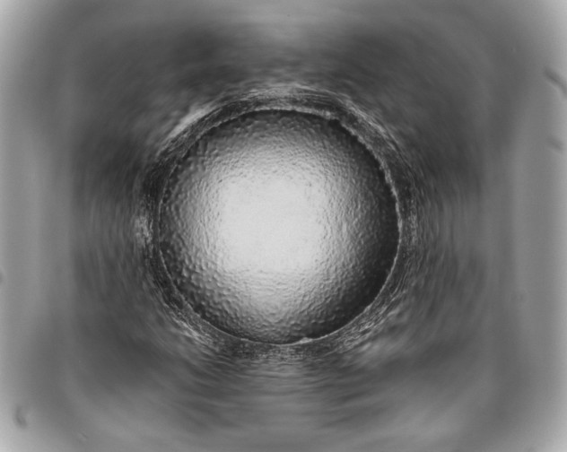 X0000096421206200802071655