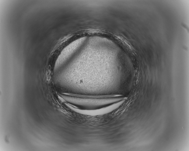 X0000096421207200802071655