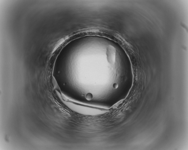 X0000096421208200802071655