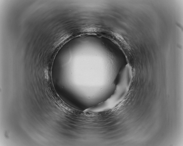 X0000096421209200802071655