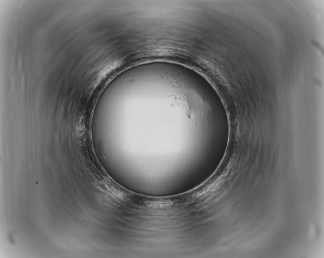 X0000096421210200802071655