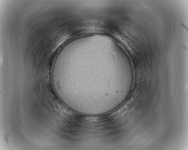 X0000096421211200802071655