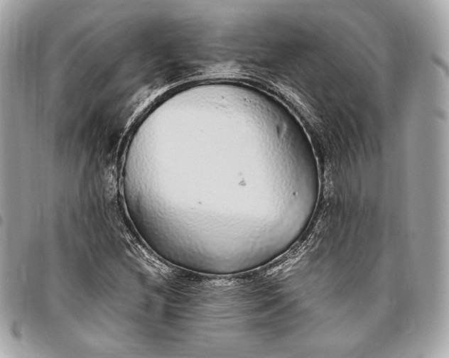 X0000096421212200802071655