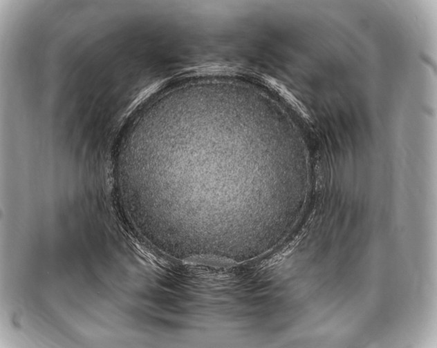 X0000096421213200802071655