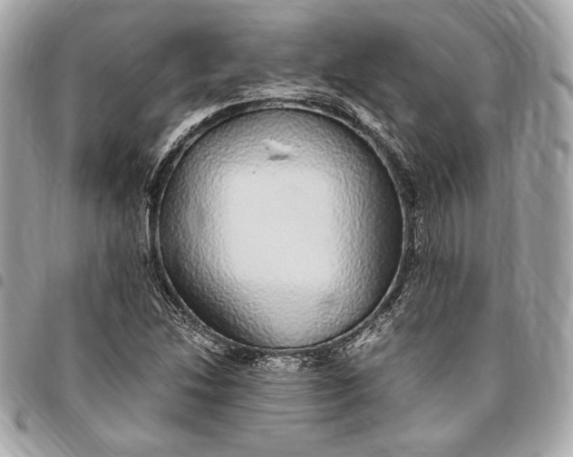 X0000096421214200802071655