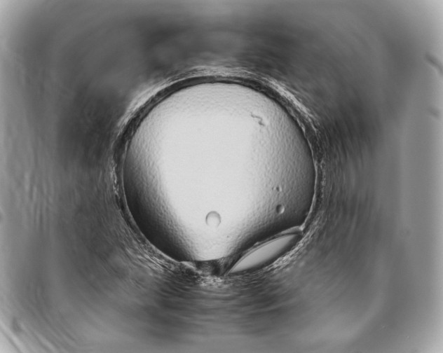 X0000096421215200802071655