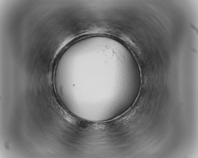 X0000096421216200802071655