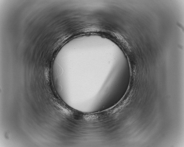 X0000096421217200802071655